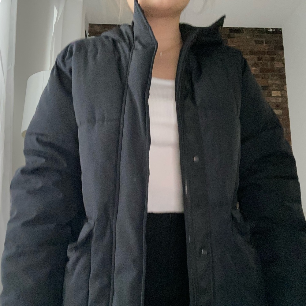 Everlane Winter Puffy Down Parka